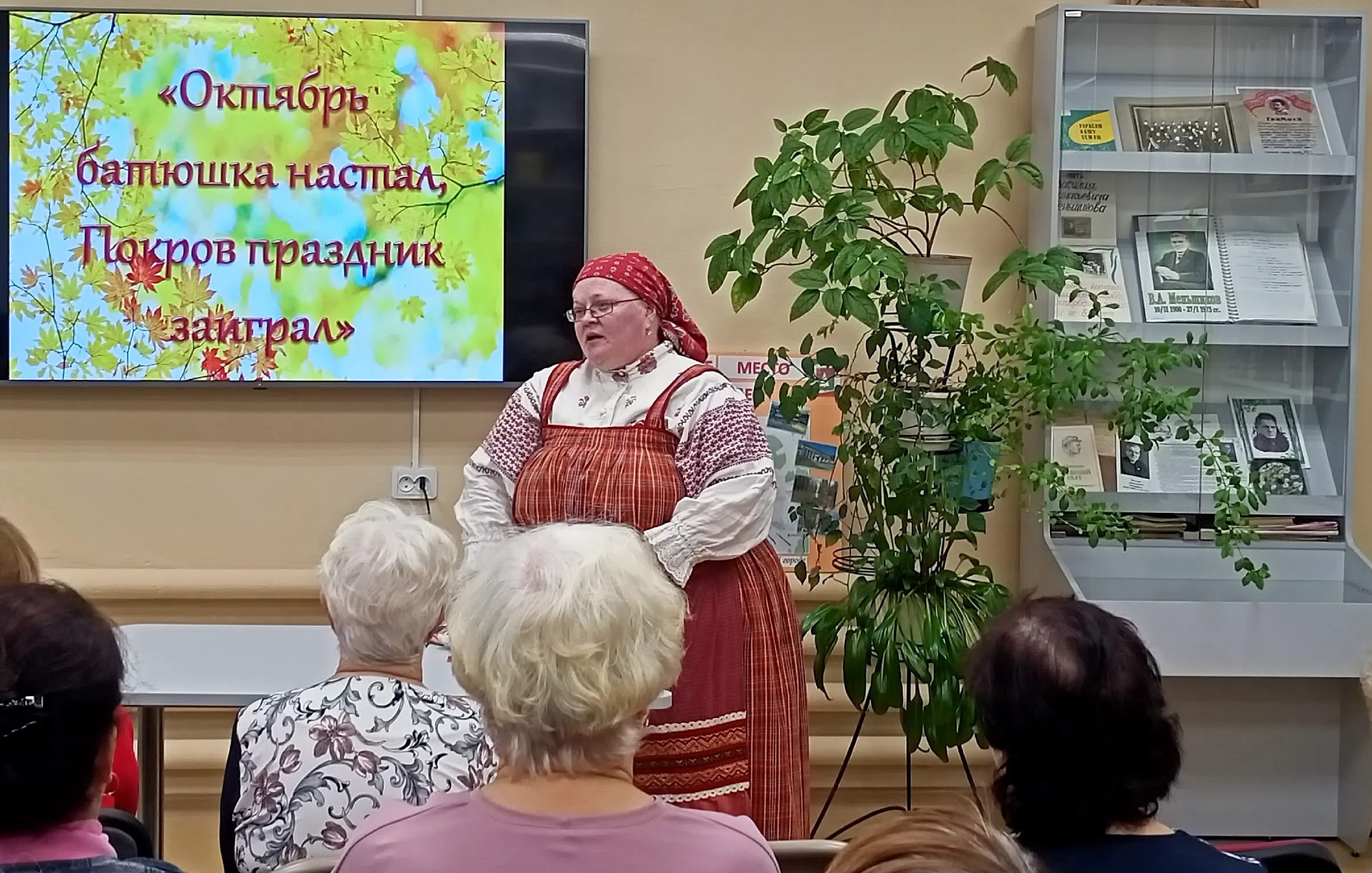 pokrov 3