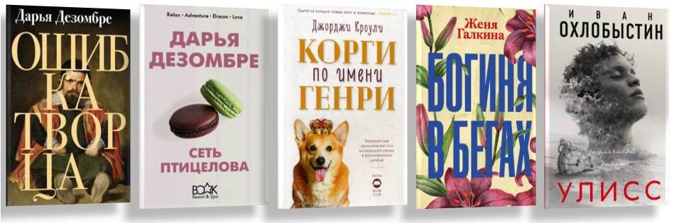 novinki books
