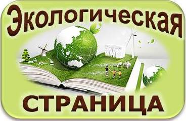 Год экологии в России